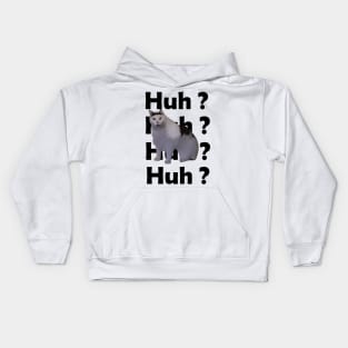 Huh Cat Meme Kids Hoodie